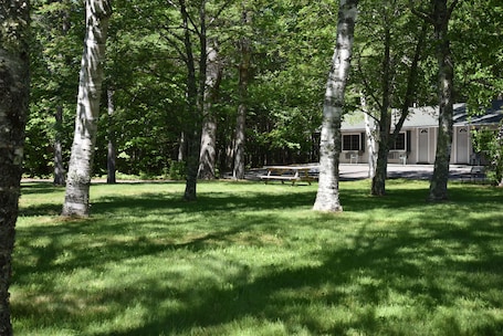 Exterior. Acadia Pines Motel