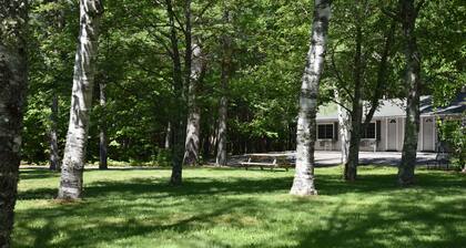 Acadia Pines Motel