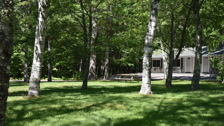 Acadia Pines Motel