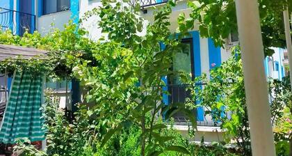 Zeytin Cicegi Pansiyon