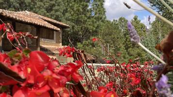 Un edificio rústico con tejado de baldosas, rodeado de exuberante vegetación y plantas en flor.