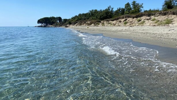 Une plage à l’eau claire, avec un rivage sablonneux et des arbres en arrière-plan.
