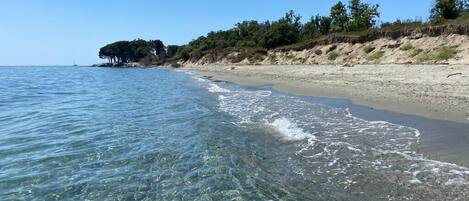 Plage, chaises longues