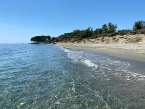 Una playa con agua cristalina, orilla arenosa y árboles al fondo.