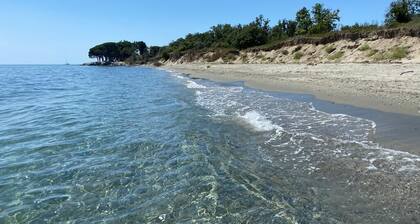 San Nicolao de Moriani: les Marines studio sea view with direct beach access.