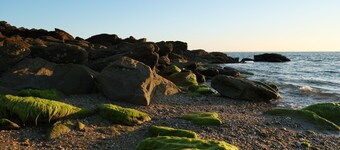 "The Blue" our studio facing the sea