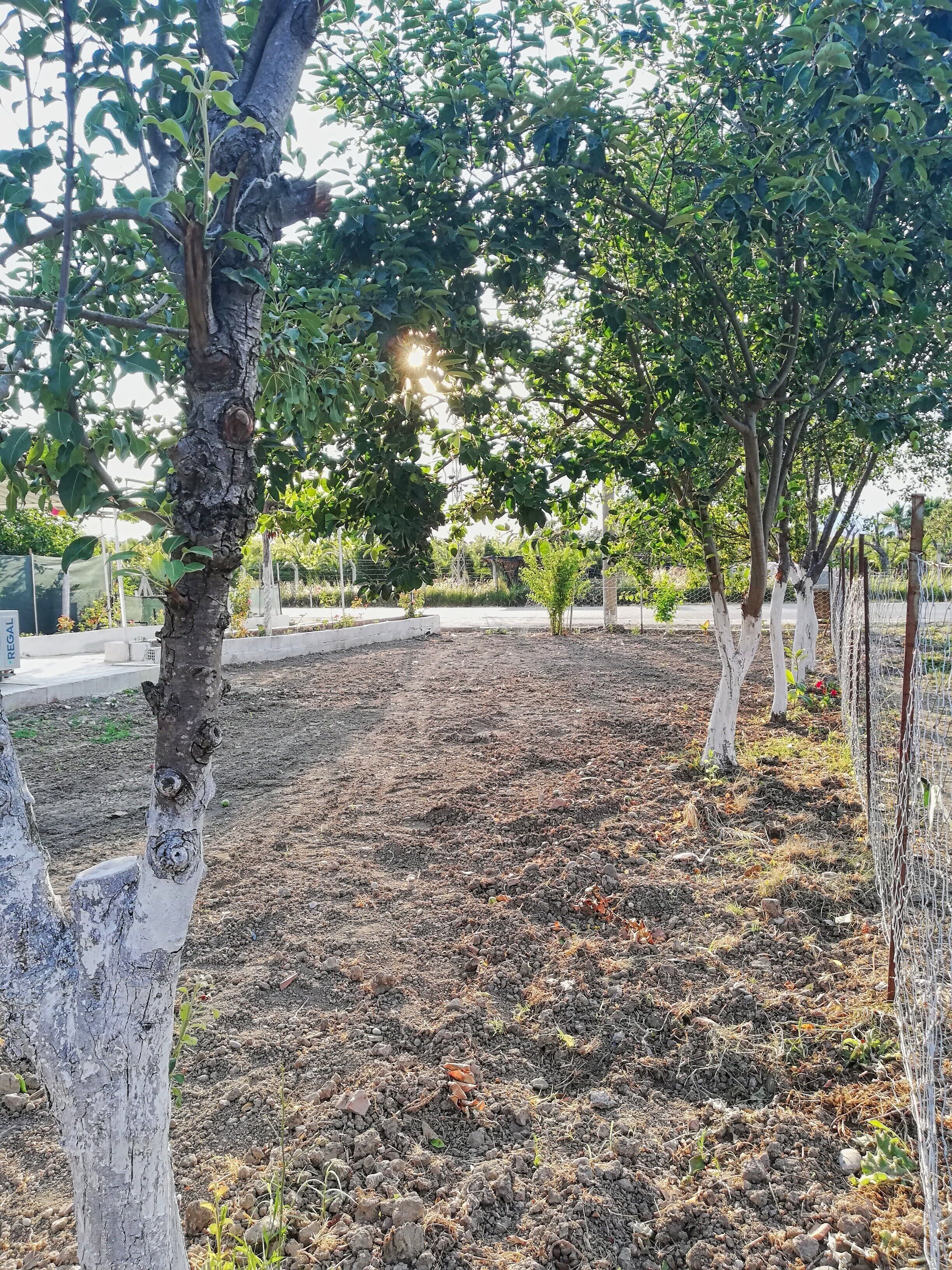 Áreas de la propiedad