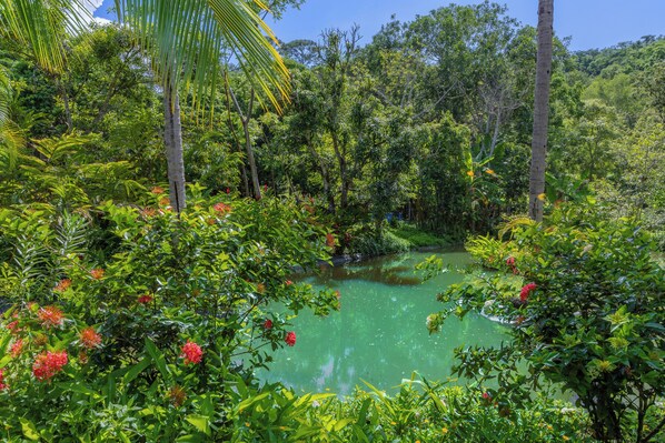 Terrein van de accommodatie