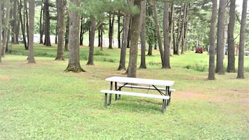 Área de parrilladas y picnic