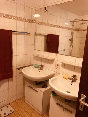 Secador de pelo, papel higiénico