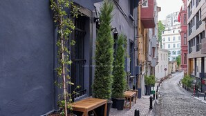 A narrow cobblestone street with a row of potted plants and wooden tables on the sidewalk.