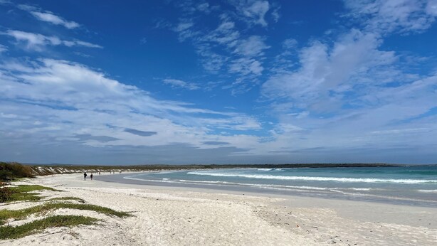 A beach with a clear sky and gentle waves. - Hotel Galapagos Suites (Puerto Ayora)