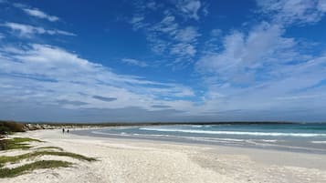 Toallas de playa