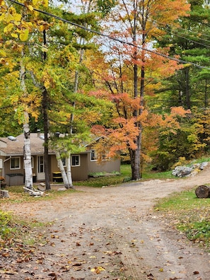 A rustic cabin with a dirt path leading to it, surrounded by trees with autumn foliage.
