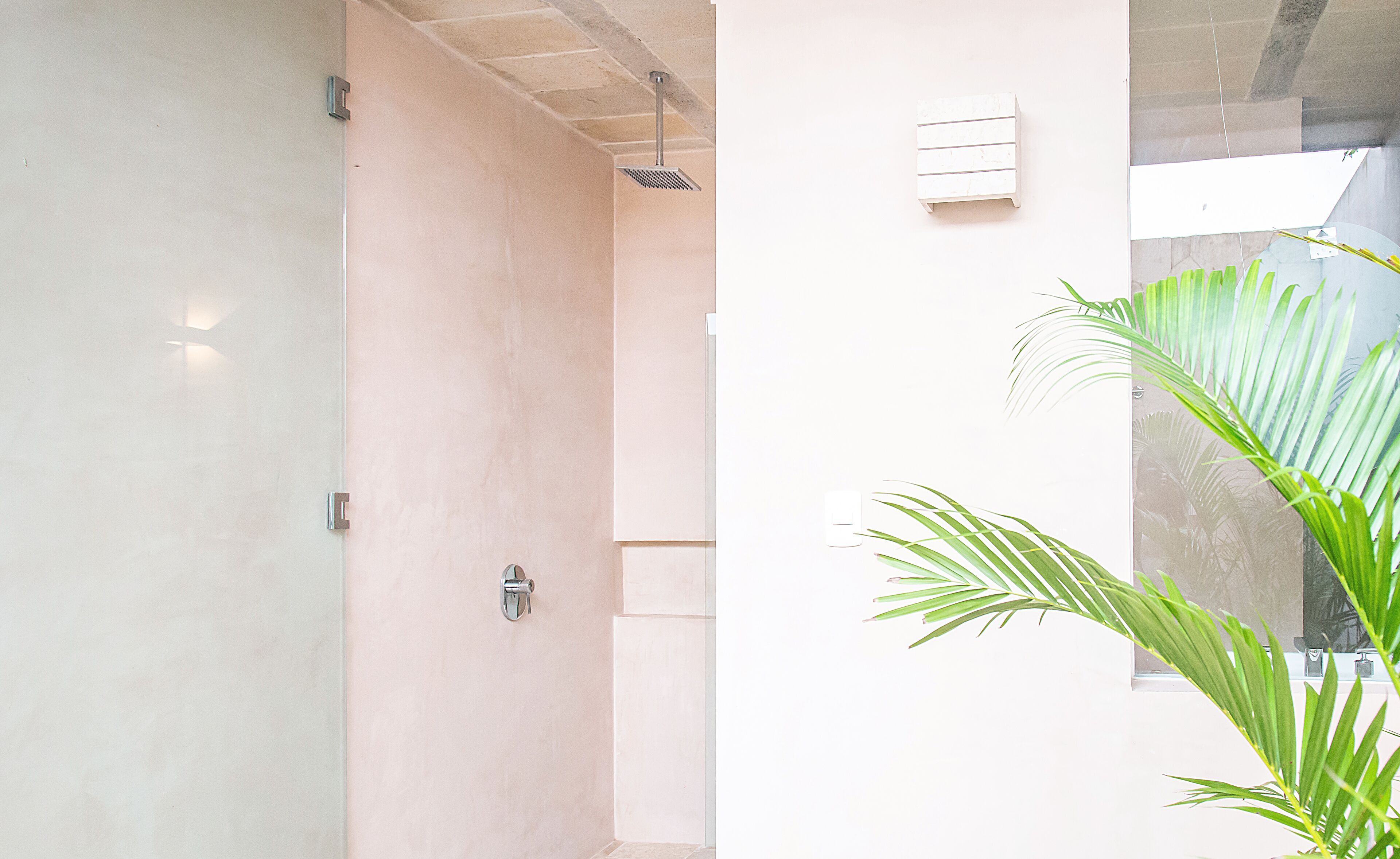 A bathroom with a shower, a white wall, and a potted plant.