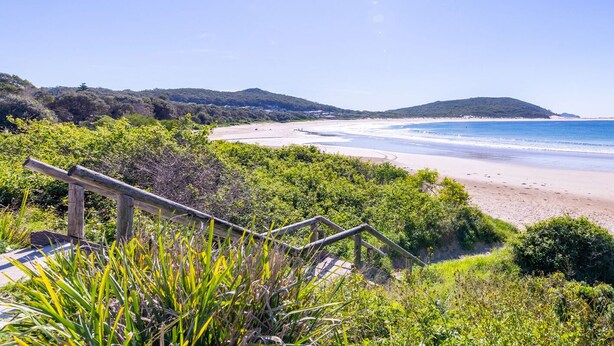 A beach with a wooden staircase leading down to the shore, surrounded by greenery. - Lorikeet Retreat, 2/117 Tomaree Rd -  Pet Friendly, Air Conditioned Holiday House (Shoal Bay)