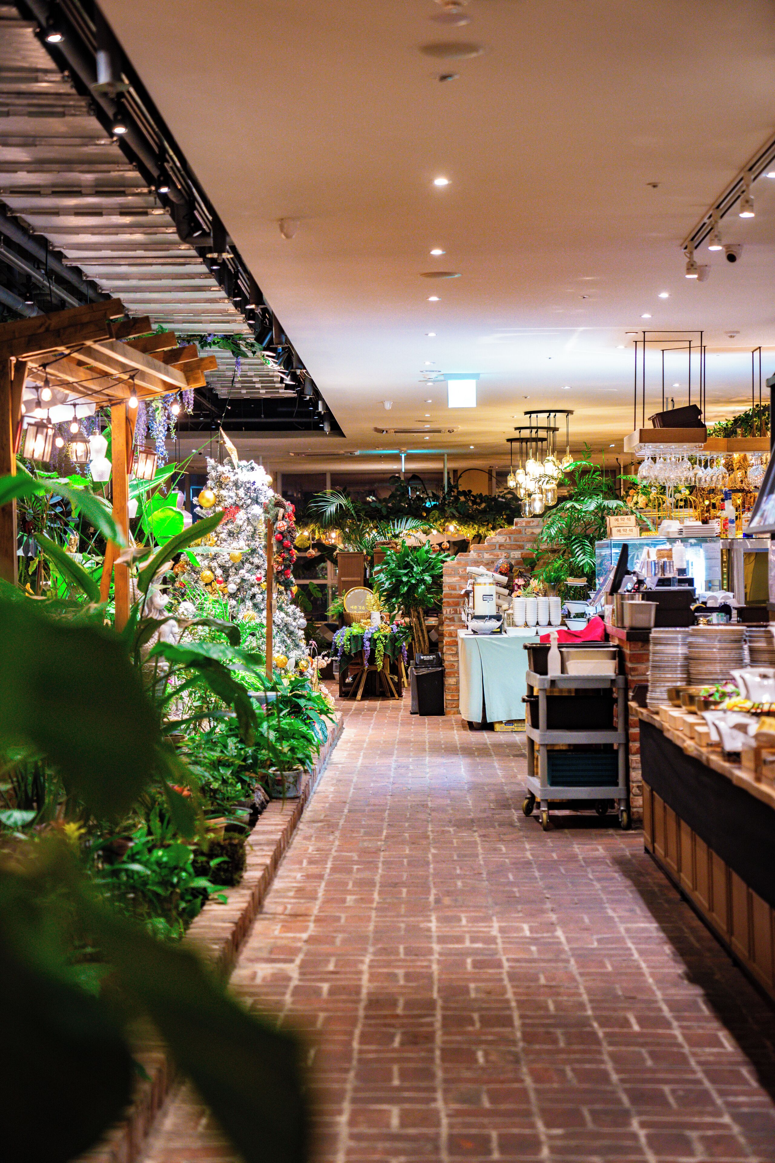 A narrow brick-walled corridor with a brick floor, leading to a counter area with a display of plants and a white Christmas tree.