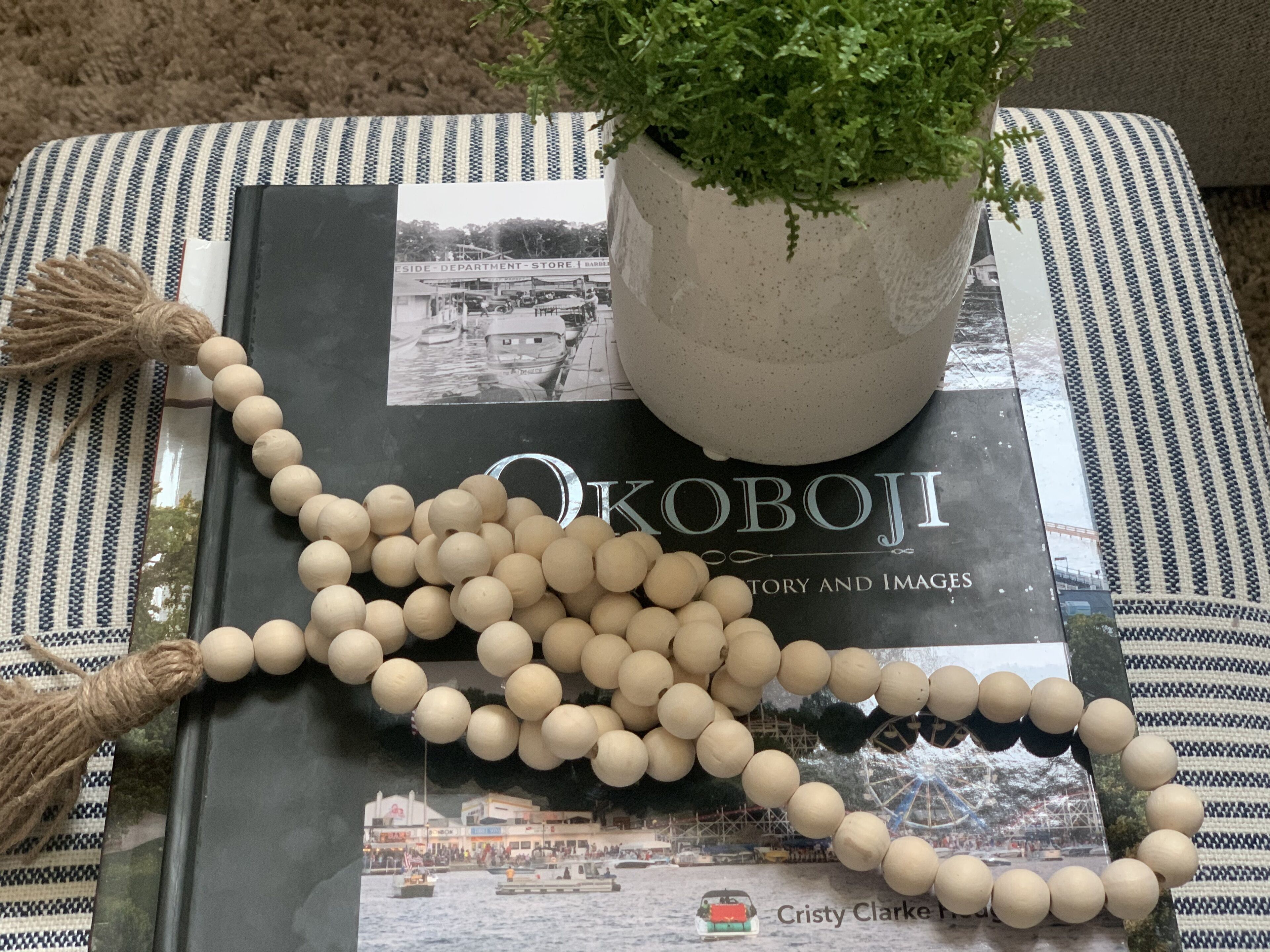 Un libro titulado 'Okoboji History and Images', una cadena de cuentas de madera y una planta en maceta sobre un cojín a rayas.