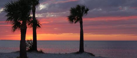 A beach scene with palm trees and a sunset over the ocean.