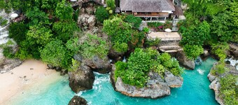 The Korowai