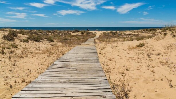 A wooden boardwalk leading to the beach, surrounded by sand dunes and sparse vegetation. - Carnaval by Interhome (Isla Cristina)