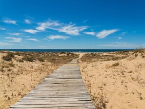 Une promenade en bois menant à la plage, entourée de dunes de sable et d’une végétation clairsemée.