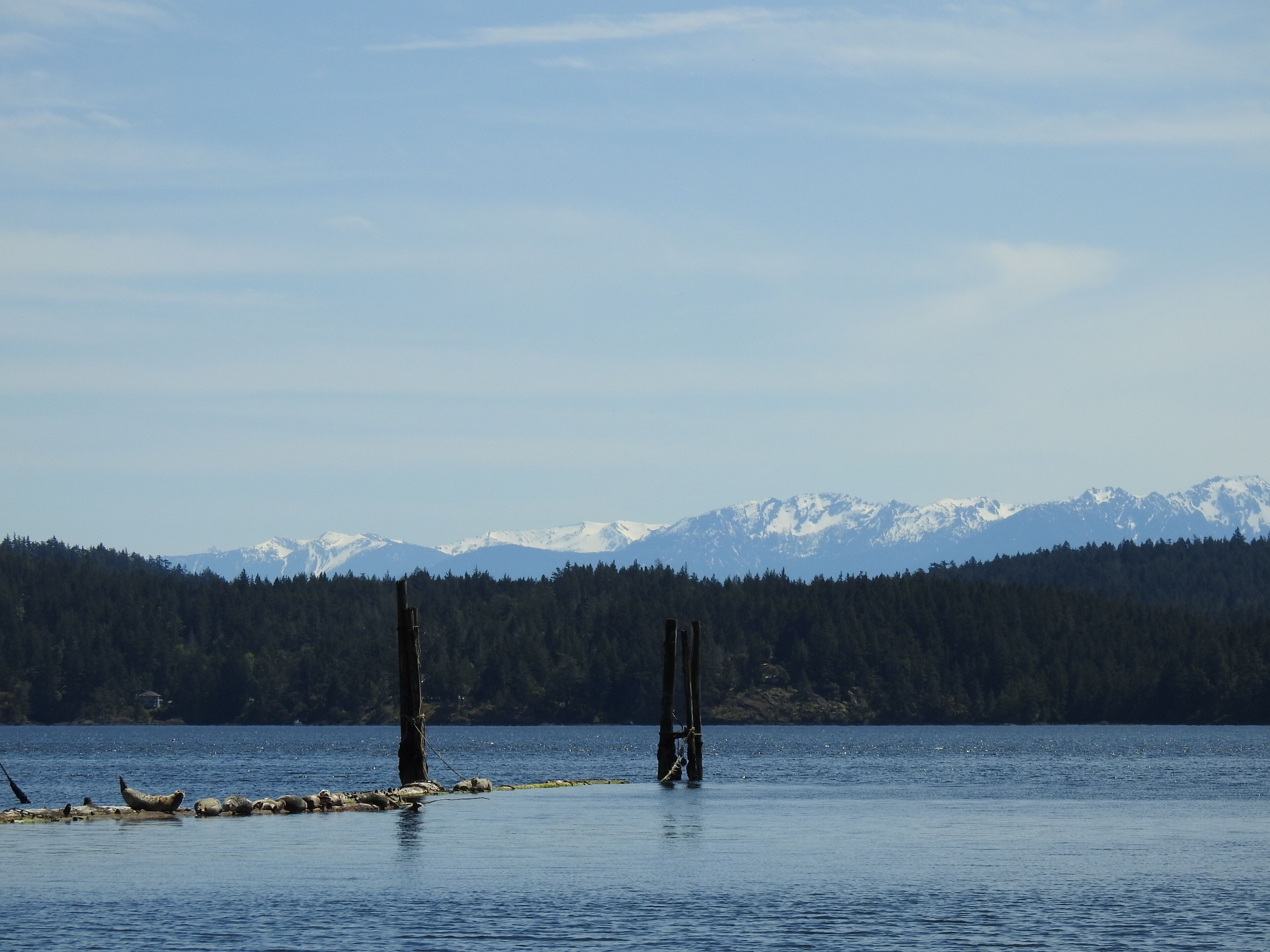 11 Best Cabins With Hot Tub In Vancouver Island, Canada Updated 2024