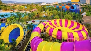 Een waterpark met meerdere glijbanen en een zwembad, omgeven door palmbomen en gebouwen.