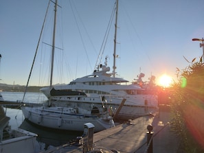 A marina with several yachts docked.