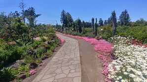 花園