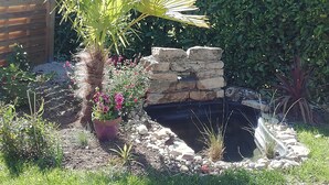 Een tuin met een palmboom, een stenen muur en een klein vijvertje.