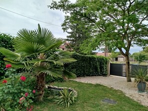 A garden with various plants, a tree, and a building in the background.