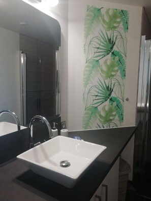 Shower, hair dryer, towels, soap