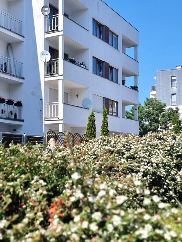 Imagen sin descripción, 1 de 17, botón