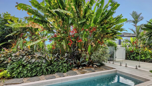 A swimming pool surrounded by lush tropical plants and a modern building in the background. - Valle Vista Luxury Apartments (Redlynch)