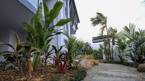 A modern building with a pathway lined with various plants and rocks. - Valle Vista Luxury Apartments (Redlynch)