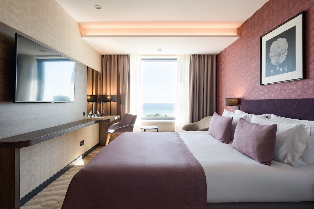 Habitación de hotel con una cama grande, un televisor de pantalla plana, un escritorio con silla y vistas al exterior.