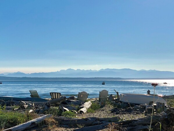 On the beach, sun-loungers, beach towels - Custom Family Beach House - Pet & Child Friendly (Clinton)