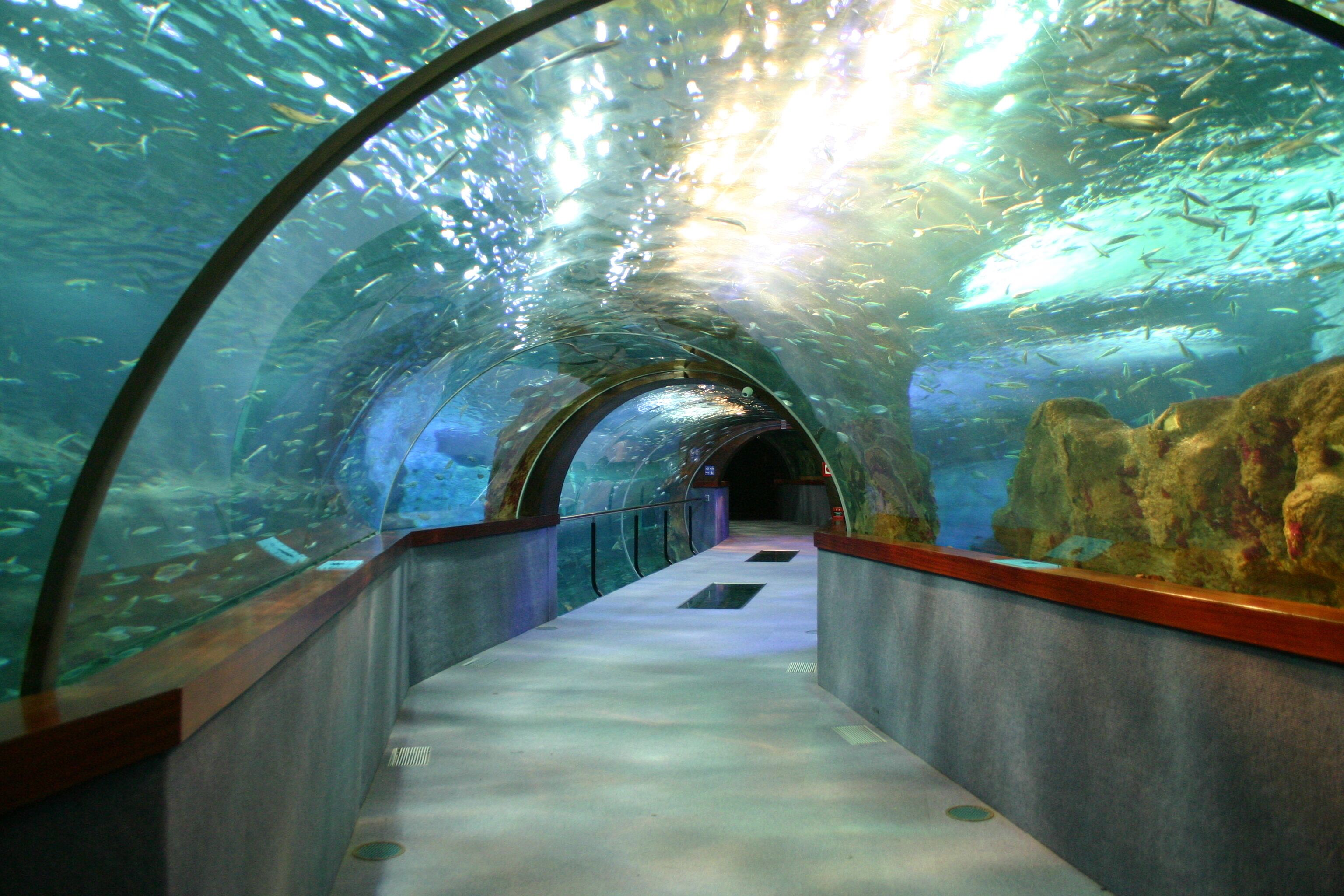 Foto - Pensión Régil