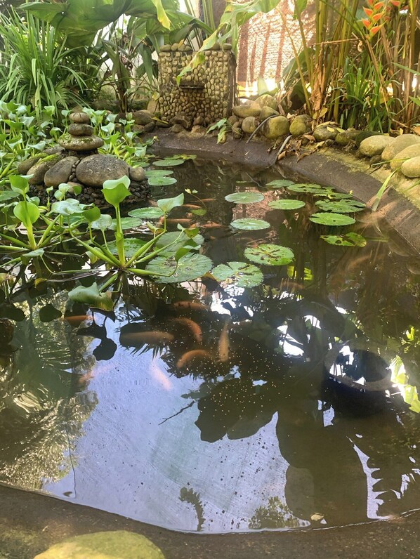 A pond with water lilies and fish, surrounded by rocks and greenery.