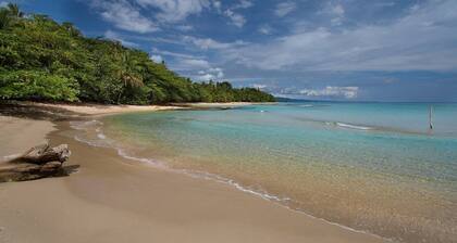 Zen Villa # 1 - Three Bedroom Luxury Villa With Private Garden -playa Chiquita