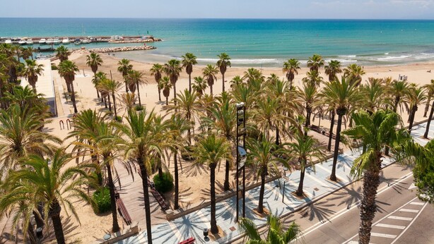 A beach with palm trees, a pier, and a clear blue sky.