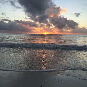 On the beach - Modern Beach House, Excellent Beachfront, Private Chef, Pool (Bwejuu)