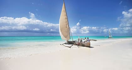 Modern Beach House, Excellent Beachfront, Private Chef, Pool
