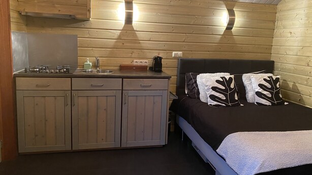 A compact room with a kitchenette, a bed with decorative pillows, and wooden walls.