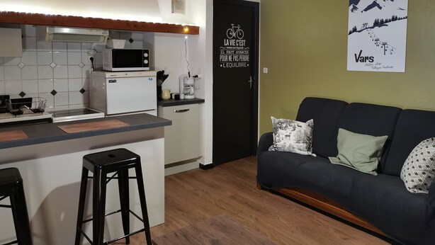 A compact living space with a kitchenette, a wooden ceiling, a mounted poster, and a dark-colored sofa with patterned cushions. - Mountain apartment rental (Vars)