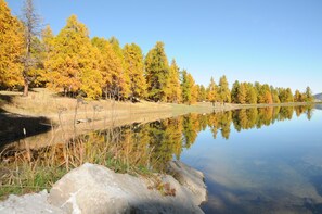 Boendeområde