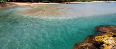 Appartement, 1 chambre, patio, vue sur le jardin | Plage