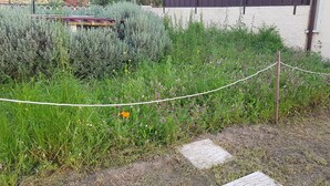 A garden area with a rope barrier, dense vegetation, and a paved path. - Pet- and biker-friendly vacation apartment with terrace in a quiet location (Regalheiras de Lavos)
