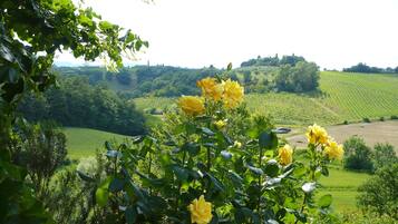 Loft, 1 Bedroom, Accessible, Smoking | Miscellaneous